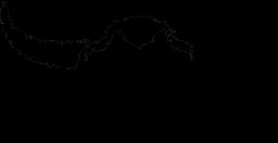 Alpen Apart logo